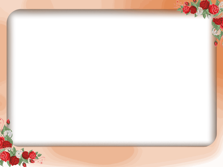 Red & White Roses Frame